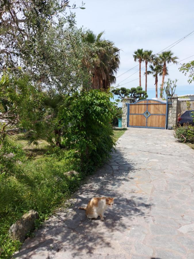 Villa Symphony Sea View Forio di Ischia Dış mekan fotoğraf