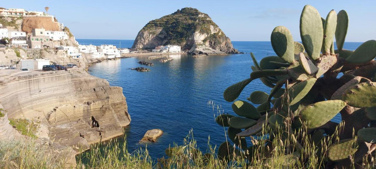 Villa Symphony Sea View Forio di Ischia Dış mekan fotoğraf