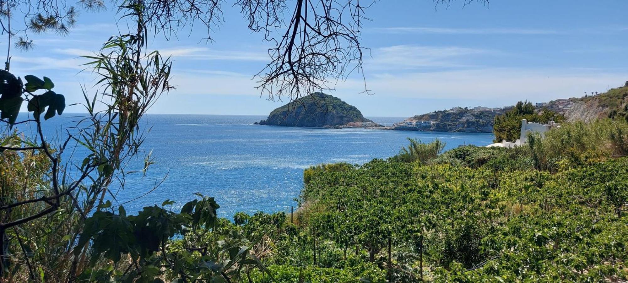 Villa Symphony Sea View Forio di Ischia Dış mekan fotoğraf