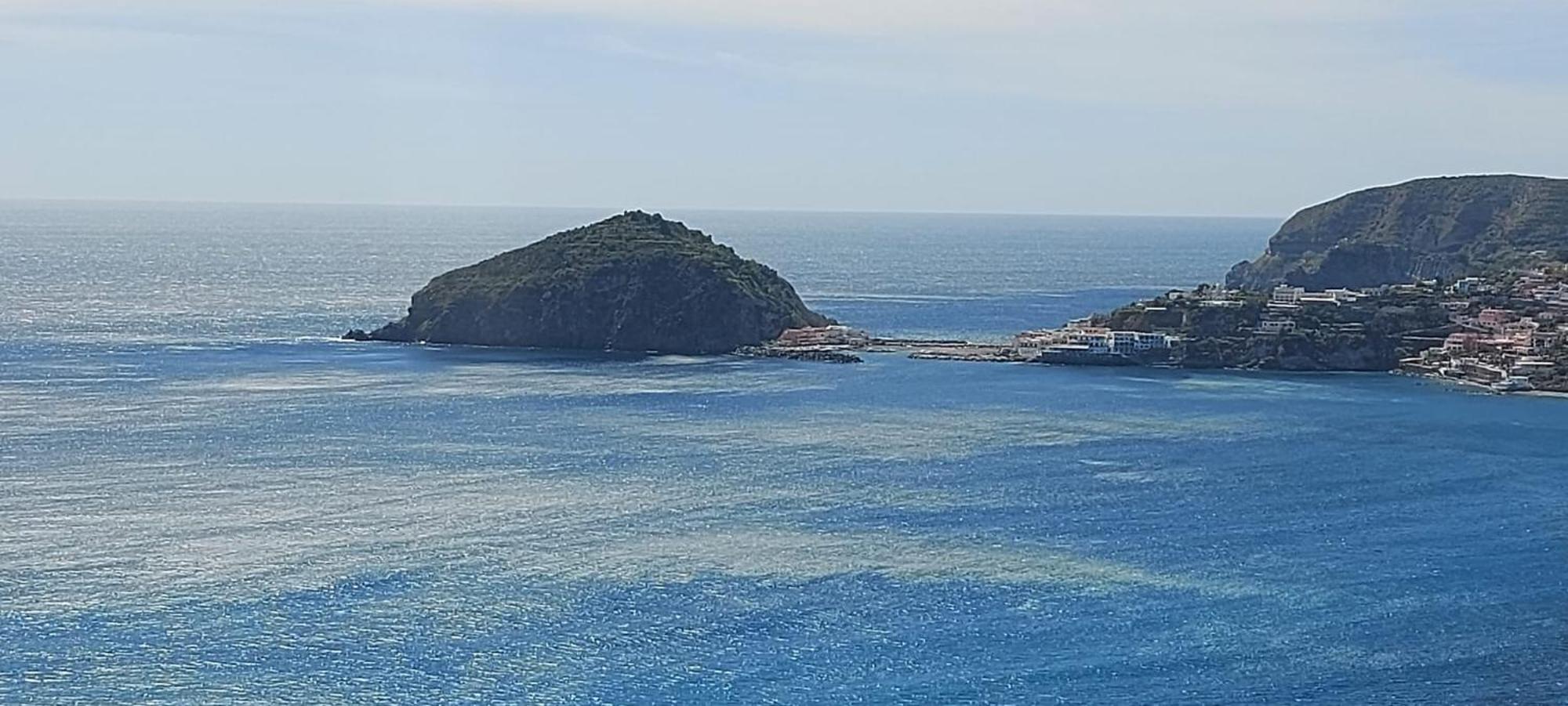 Villa Symphony Sea View Forio di Ischia Dış mekan fotoğraf