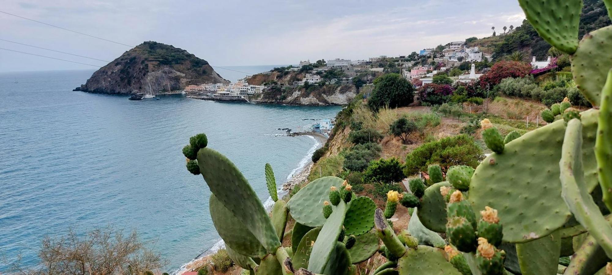 Villa Symphony Sea View Forio di Ischia Dış mekan fotoğraf